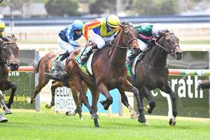 EARLY WIN FOR O'BRIEN ON HOME CUP DAY